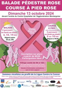 Affiche Balades rose CHAM 13.10.2024